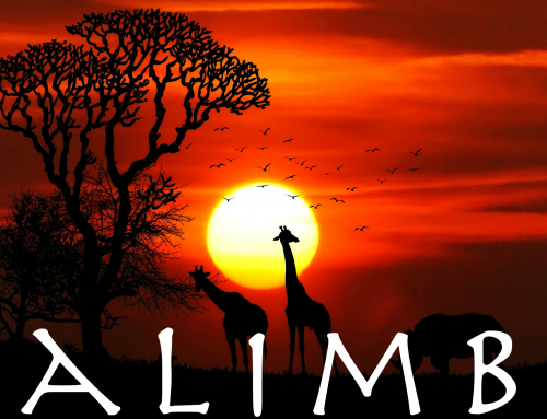 African Kalimba Meditation Music